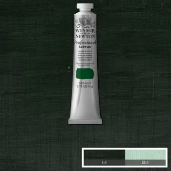 ACRYLIC PAINT - Winsor & Newton PROFESSIONAL - 200ml Tube -  Hooker's Green