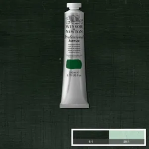 ACRYLIC PAINT - Winsor & Newton PROFESSIONAL - 200ml Tube -  Hooker's Green