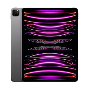 Apple M2 11-Inch Ipad Pro Wi-fi  128GB - Space Grey