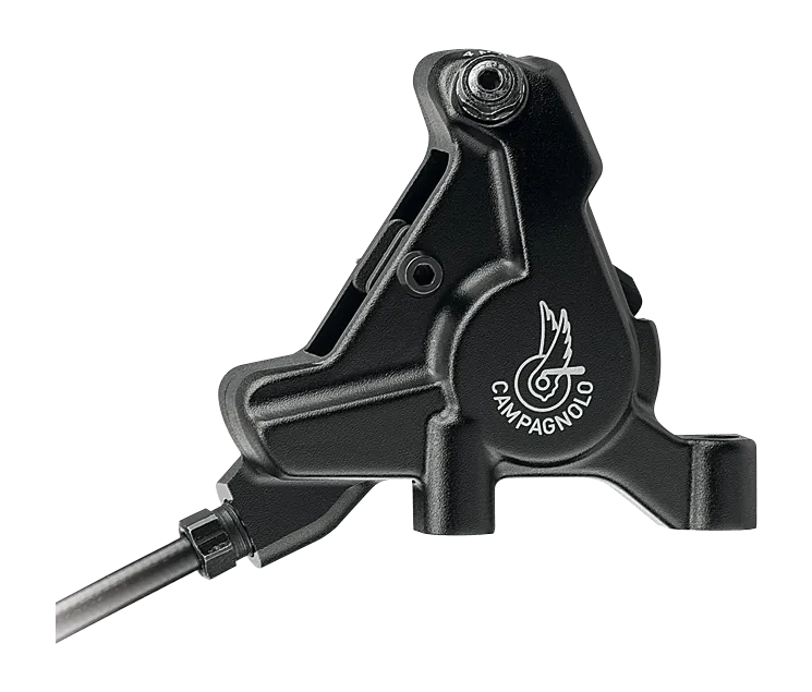 Campagnolo 12X2 Record Mechanical Groupsets