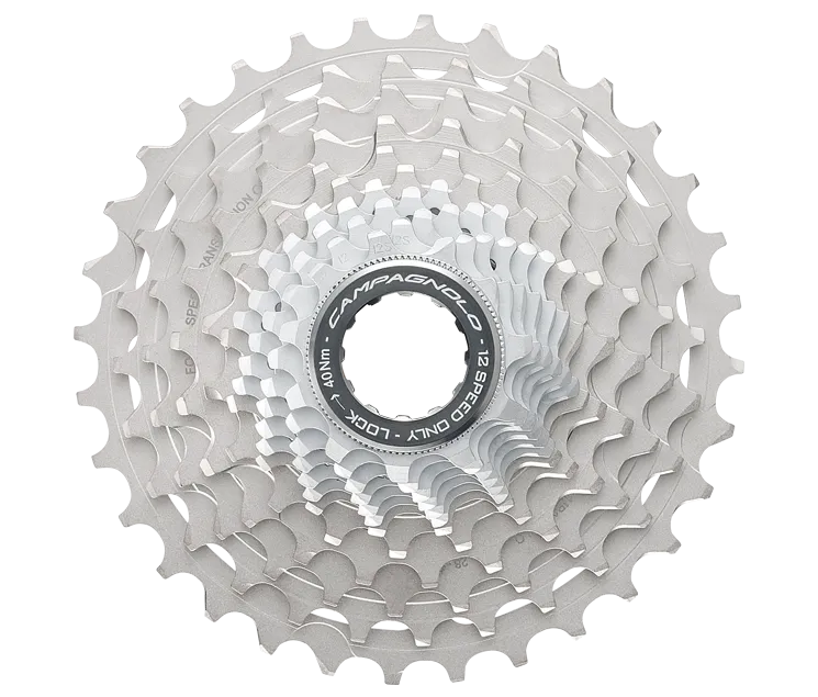 Campagnolo 12X2 Record Mechanical Groupsets