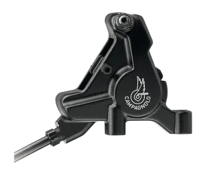 Campagnolo 12X2 Record Mechanical Groupsets