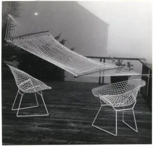 Fog Around the Terrace