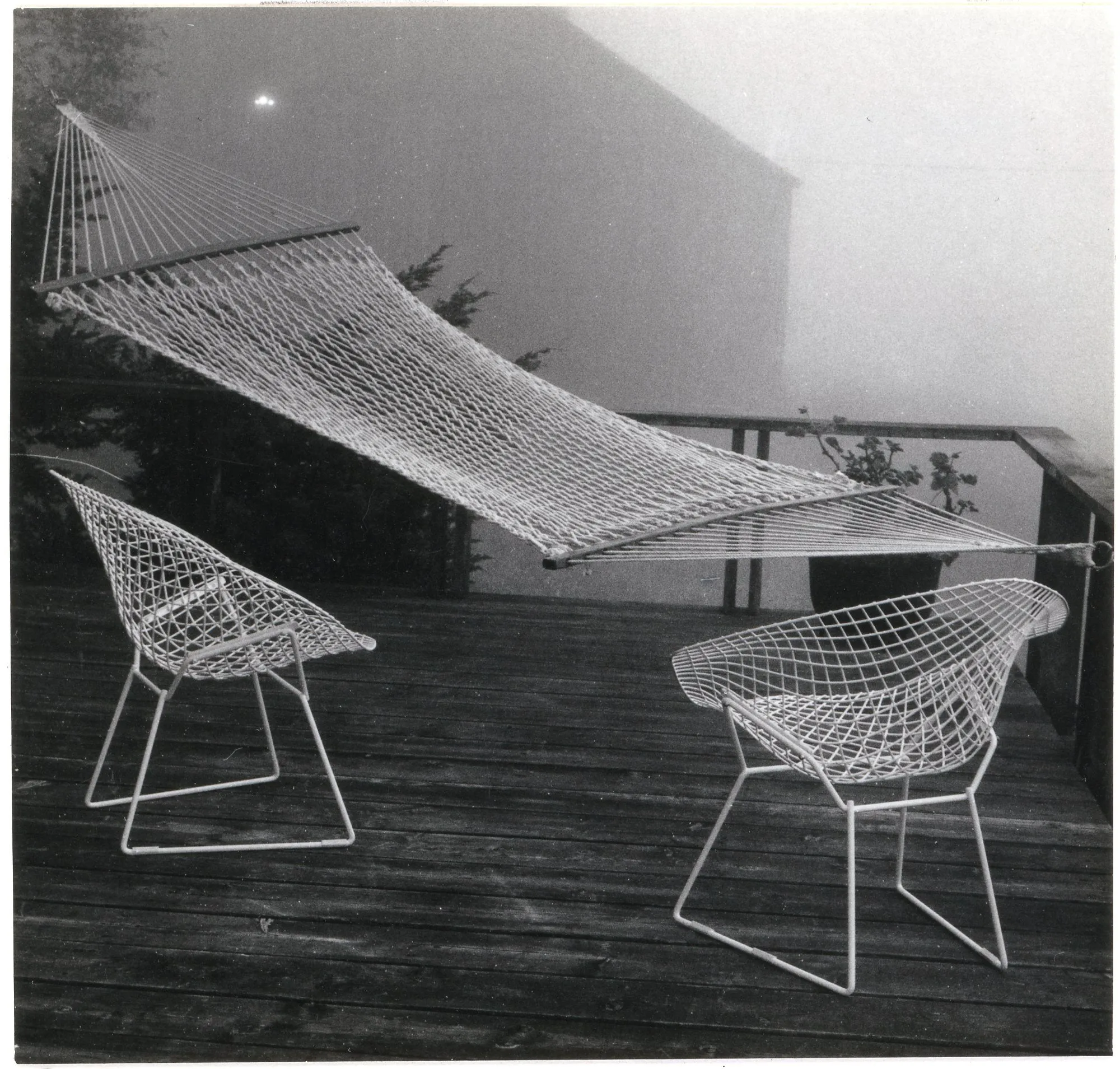 Fog Around the Terrace