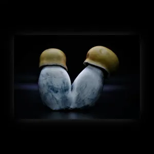 Golden Ghost Poster