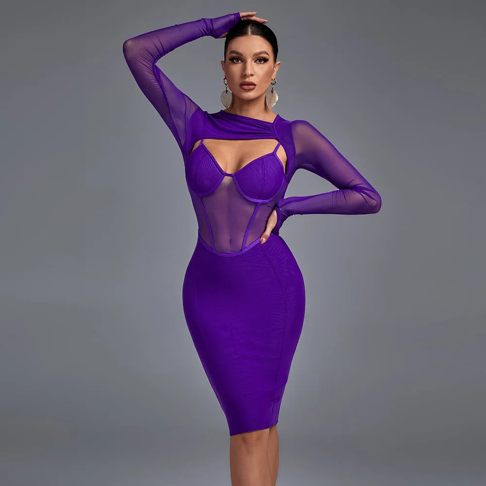Long Sleeve Cut Out Mesh Bandage Dress