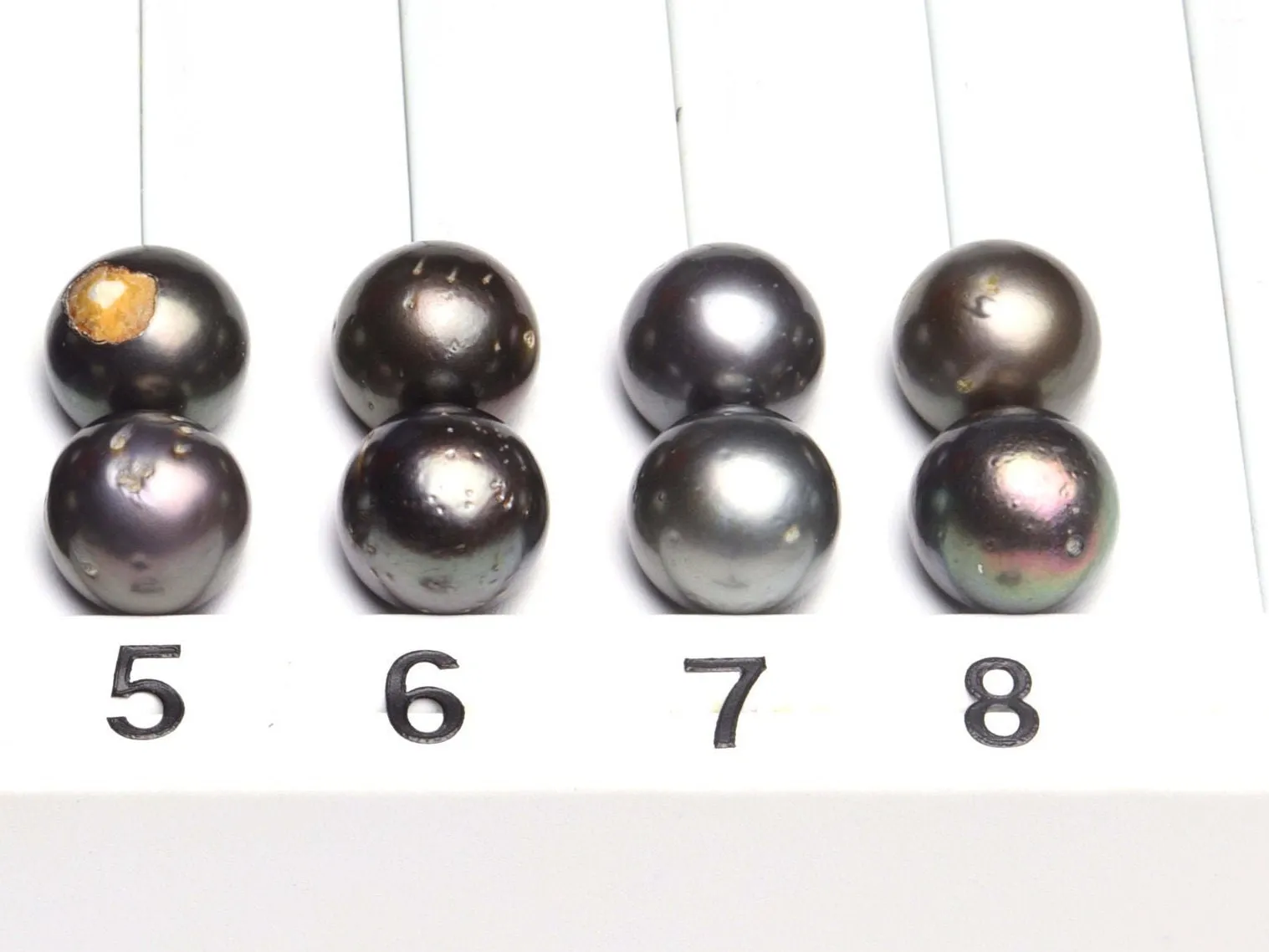 Paired Tahitian Pearl Matched Sets (12-13mm), Pick Your Pearls! (PLP122)