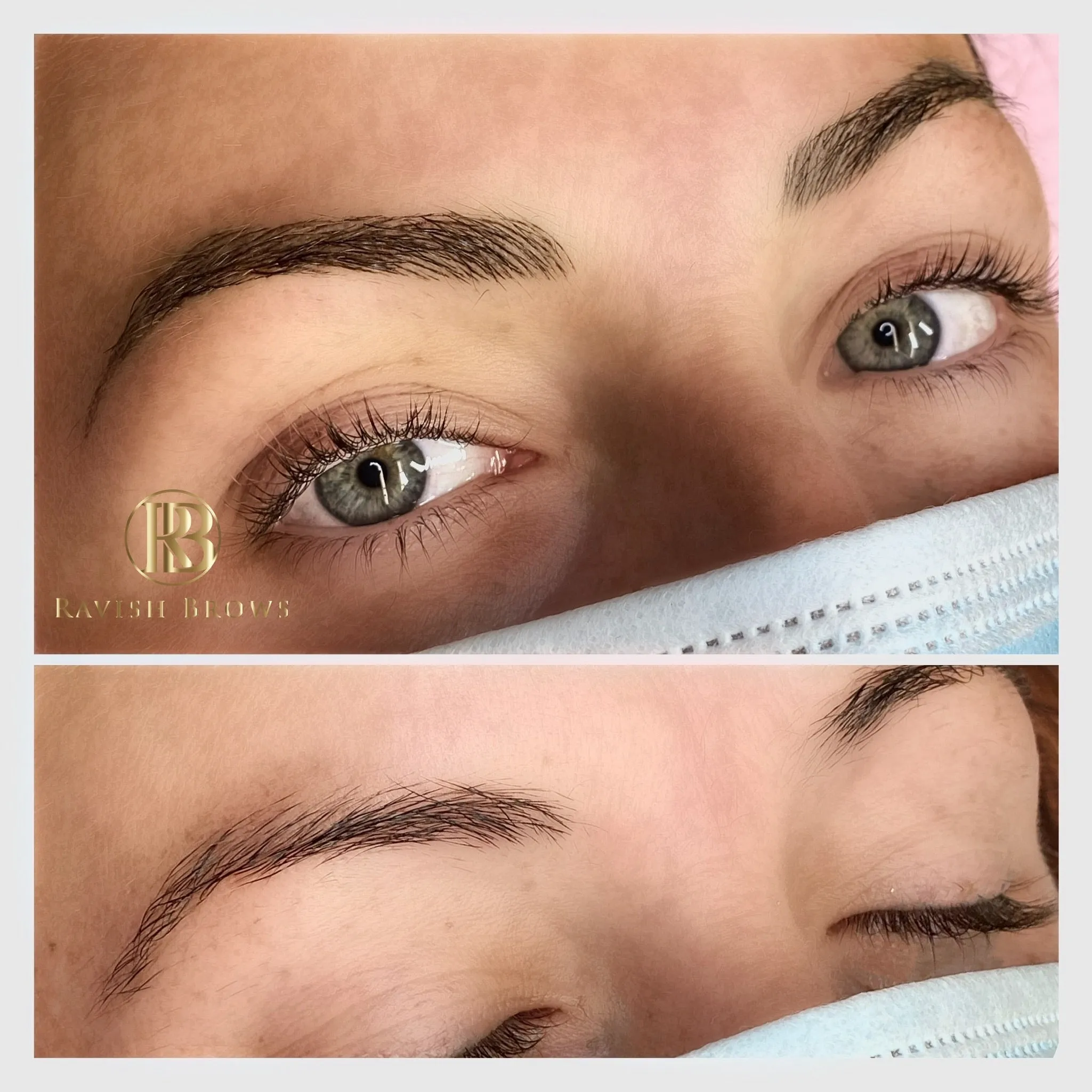 Powder Brows and Microblading Training Course
