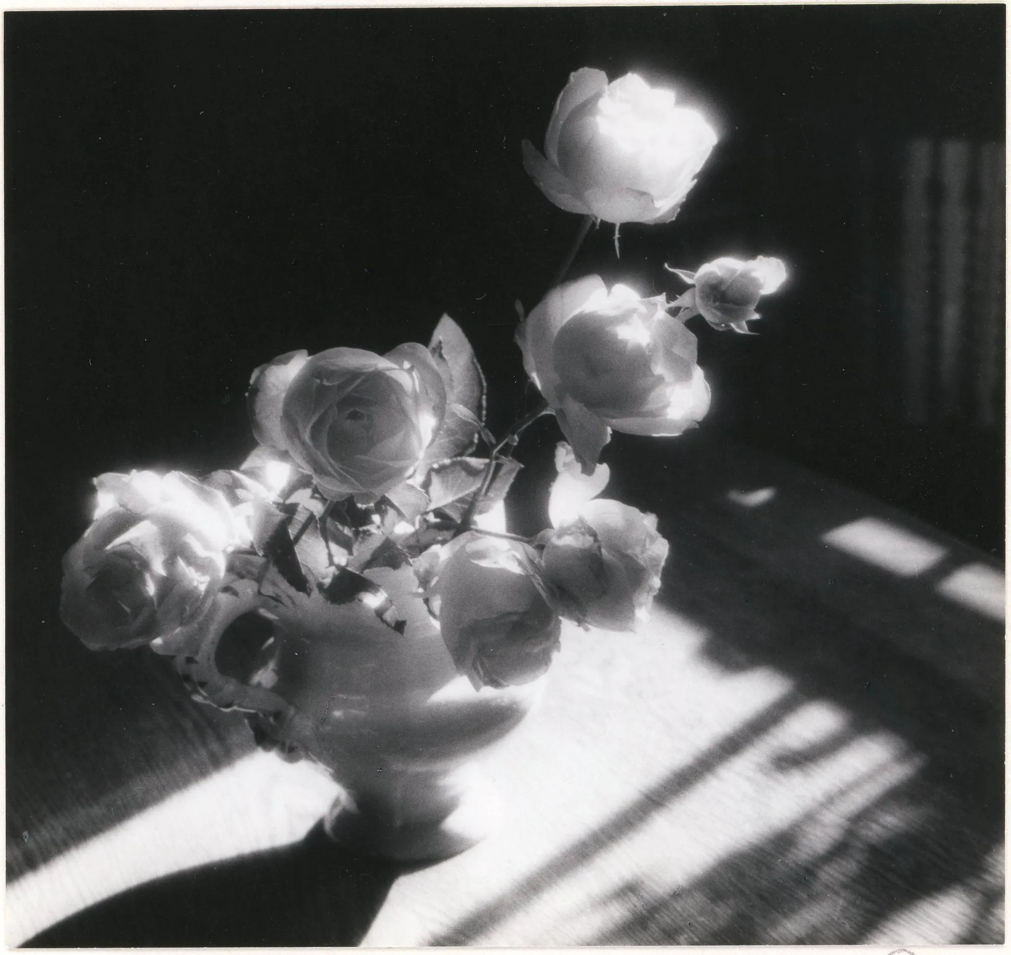September Roses