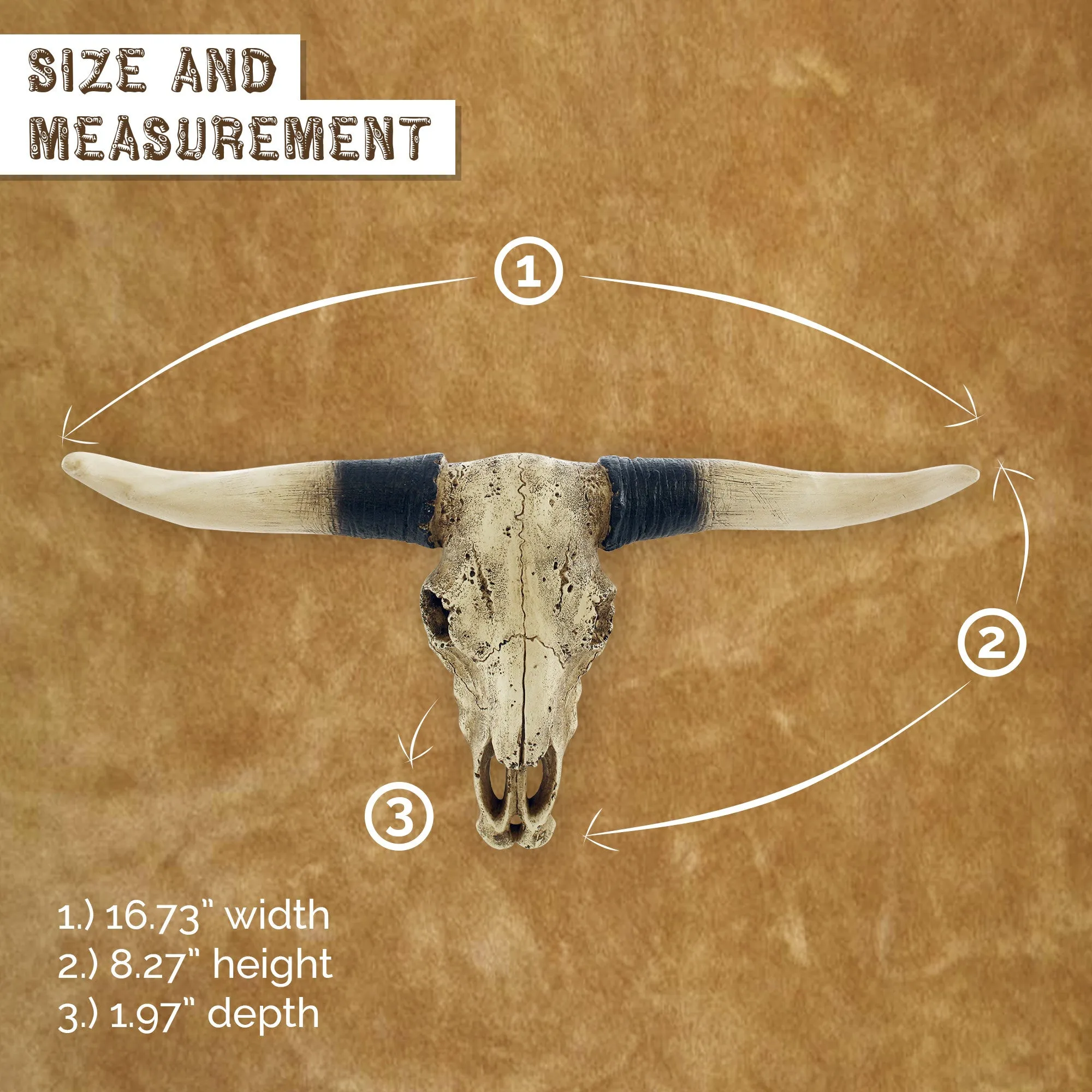 Southwestern Bull Longhorn Skull Steer Bull Head Rustic Chic Wall Hanging Texas Decor by Pine Ridge | Strong and Durable Polyresin Made Aged Finish Sculpture Replica of Real Steer Head Skull Gift Idea