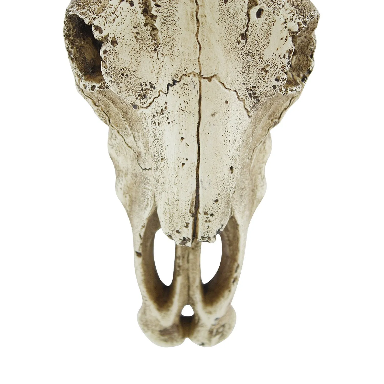 Southwestern Bull Longhorn Skull Steer Bull Head Rustic Chic Wall Hanging Texas Decor by Pine Ridge | Strong and Durable Polyresin Made Aged Finish Sculpture Replica of Real Steer Head Skull Gift Idea