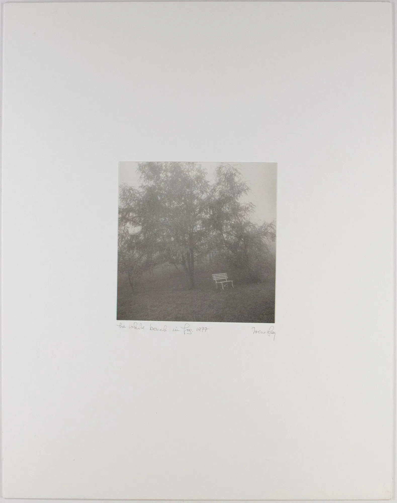 The White Bench in Fog
