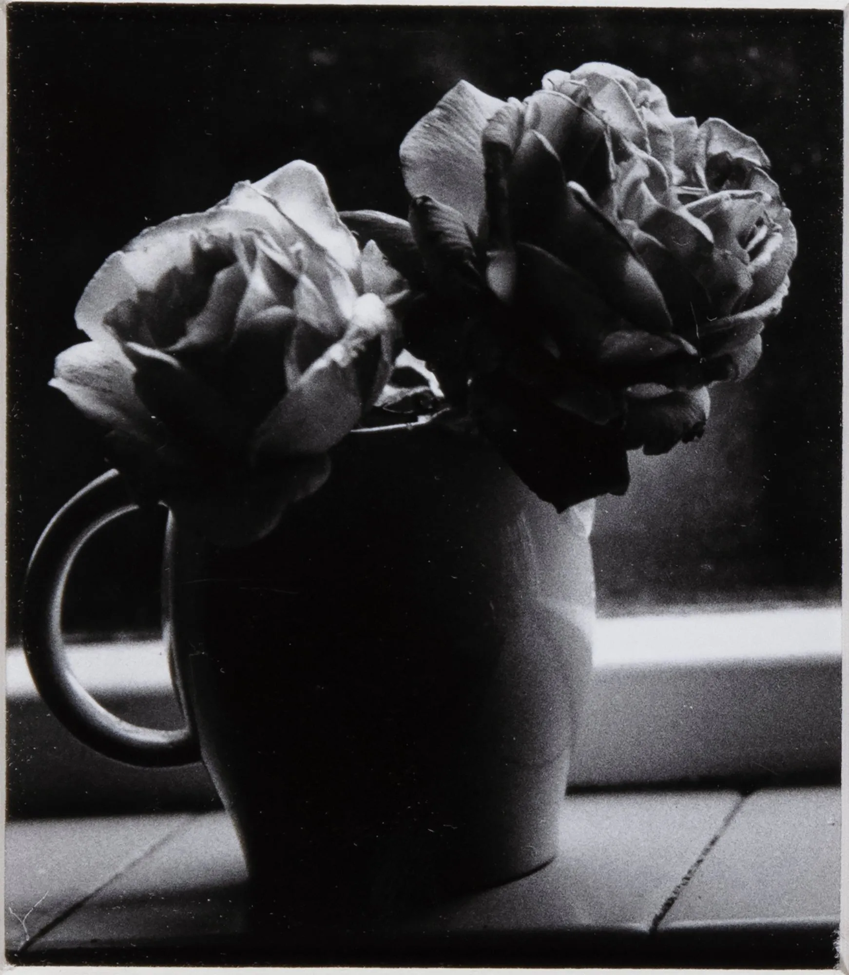 Two Roses