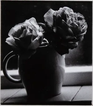 Two Roses